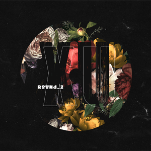 日本最新黄色网页
