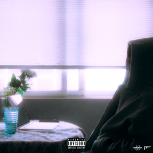 日本最新黄色网页
