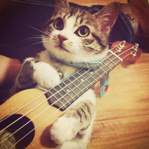 日本最新黄色网页
