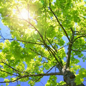 日本最新黄色网页
