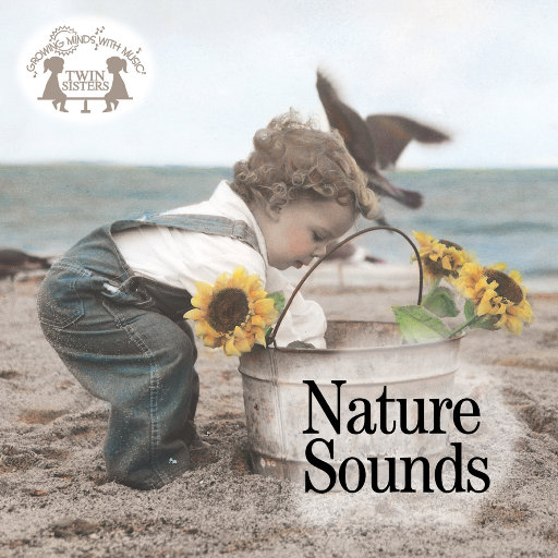 日本最新黄色网页
